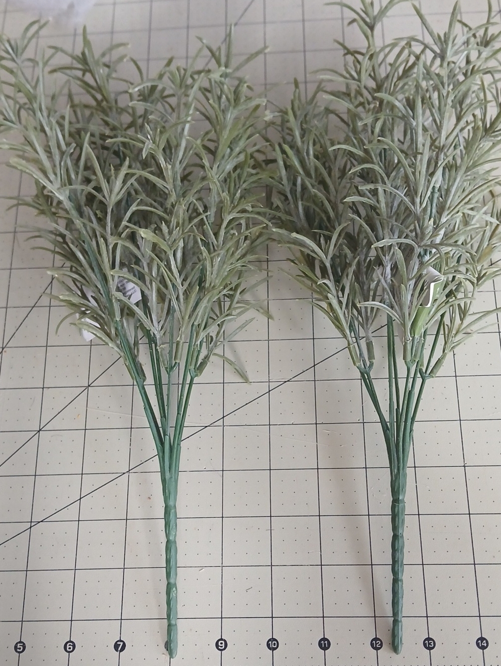 Eucalyptus Bush - Set Of 2